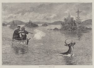 Deer-Shooting em um lago americano